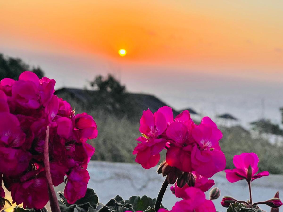 Willa Oia Sunset House Pothitou Zewnętrze zdjęcie