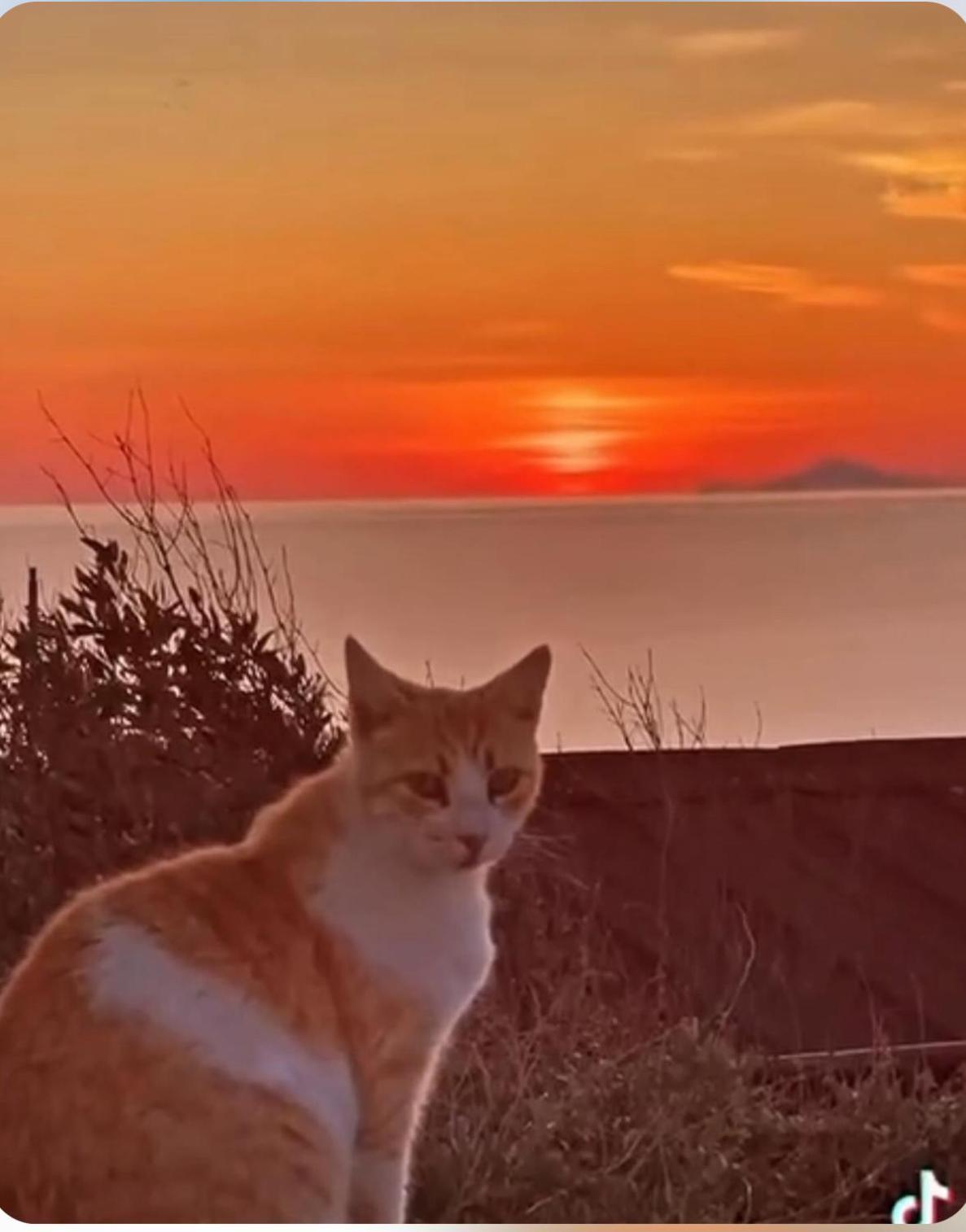 Willa Oia Sunset House Pothitou Zewnętrze zdjęcie
